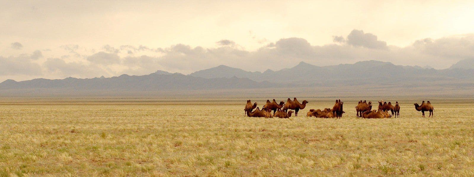 Mongolia