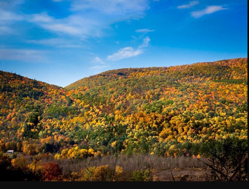 Vermont