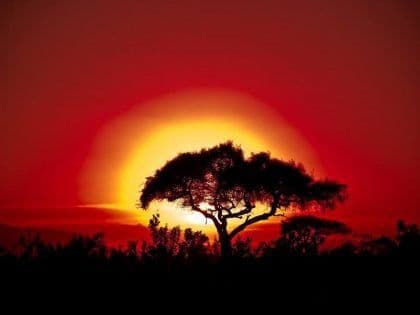 Kenya