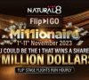Natural8 FlipGo Millionaire 20232023 Featured image 367x275 1